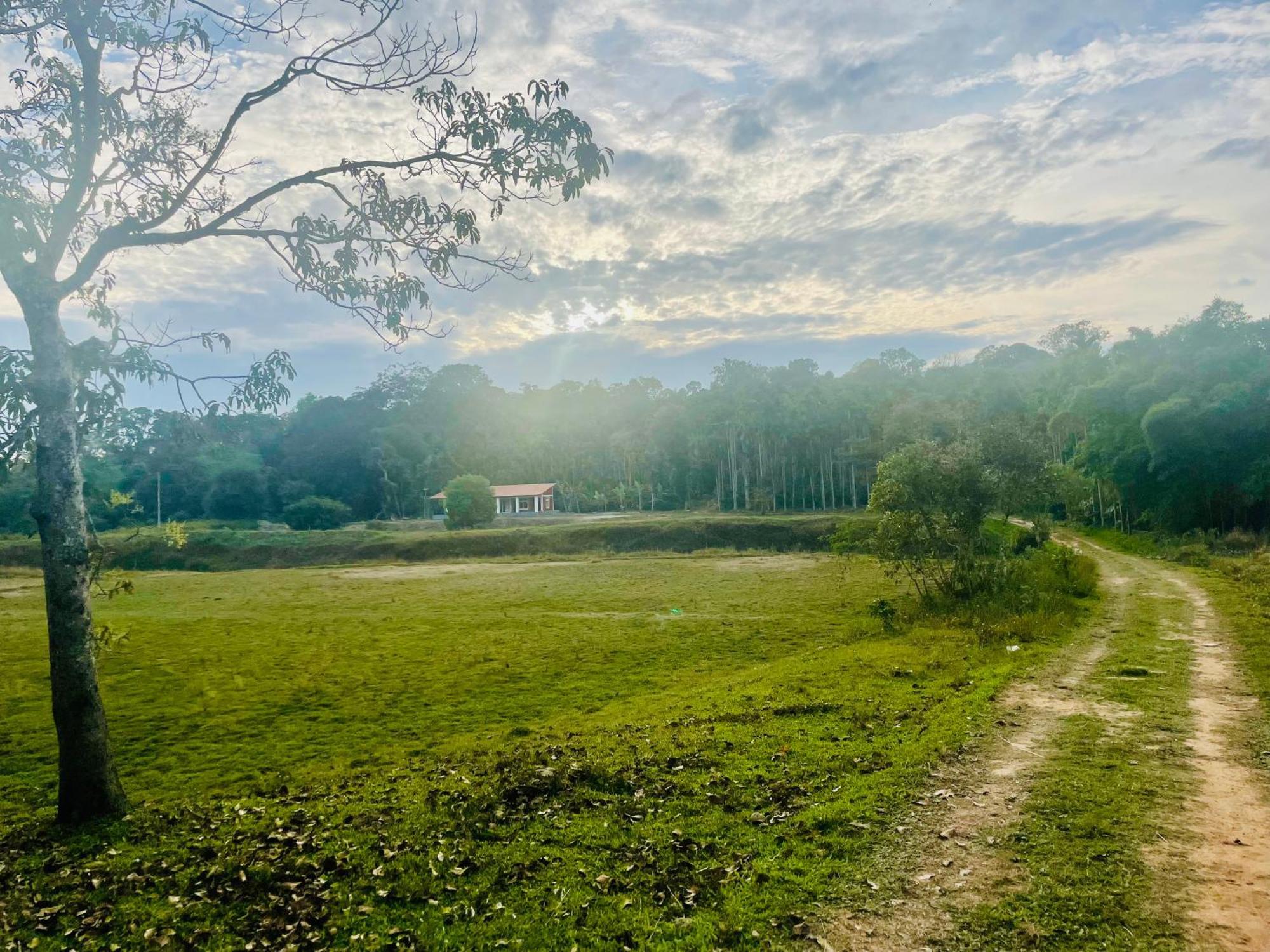 Lake Ripples - Farmstay & Camping Ponnampet Exteriér fotografie